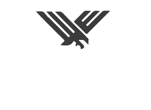 EagleSightInvesting Logo